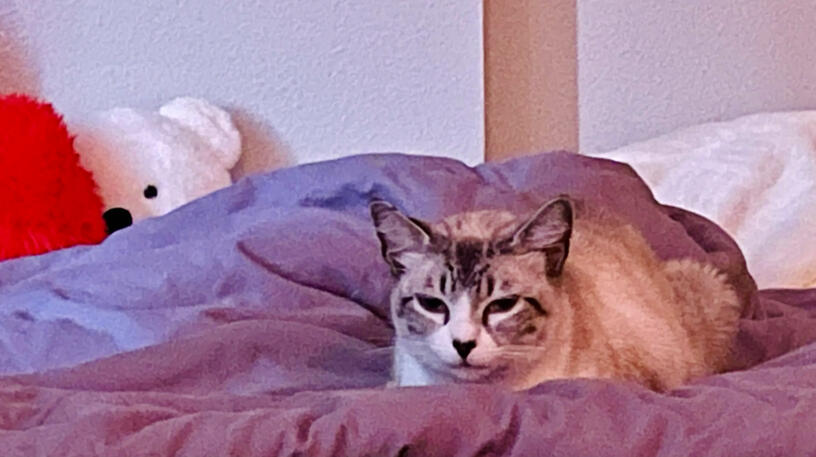 Sleepy